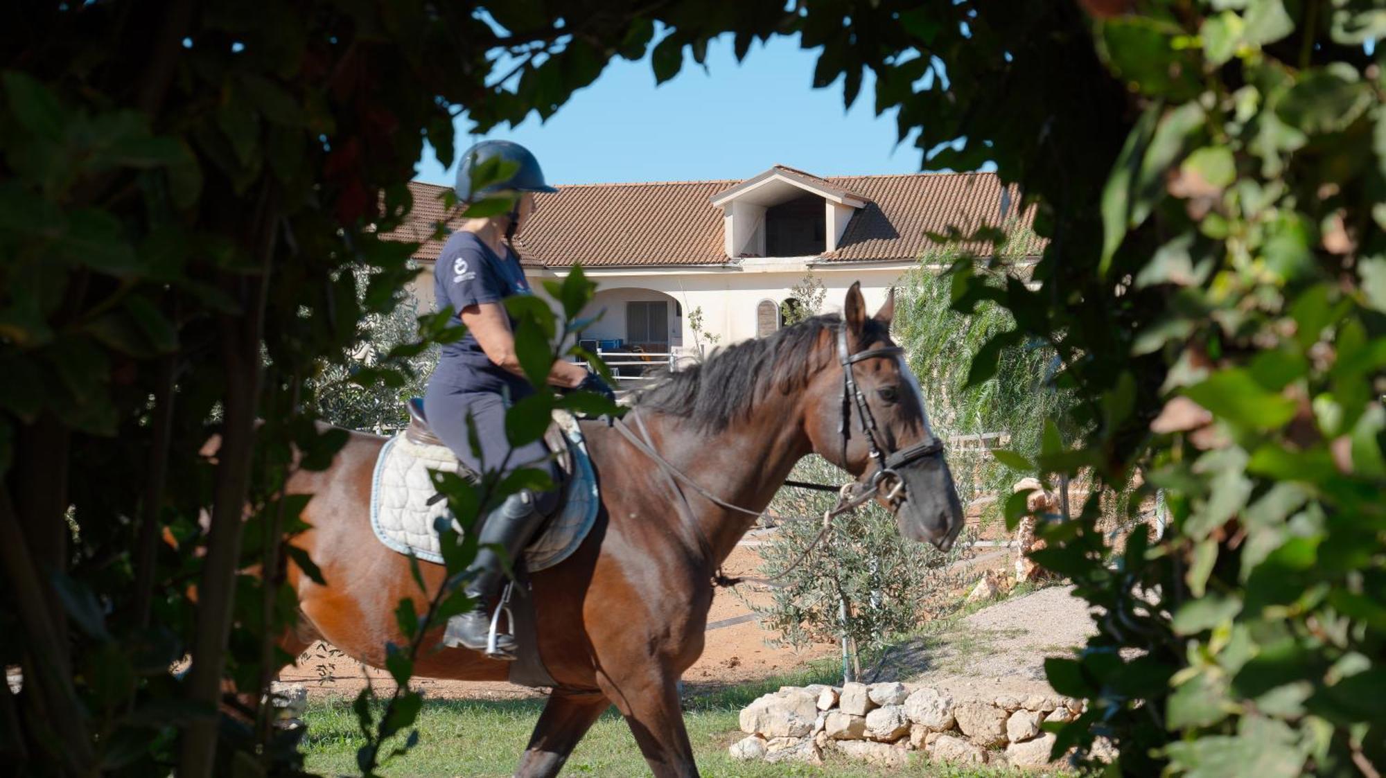 Delle Rose, Hotel & Horse Riding ตอร์เรวาโด ภายนอก รูปภาพ